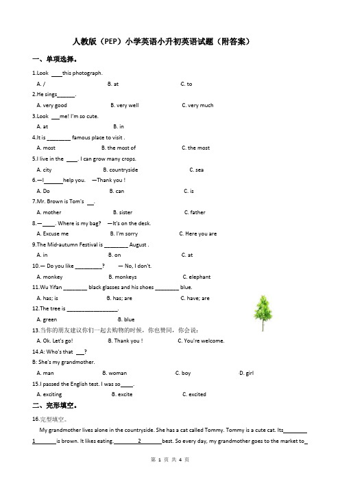 人教版(PEP)小学英语小升初英语试题(附答案)