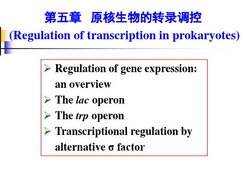 第五章 原核生物的转录调控(Regulation of transcription in pro