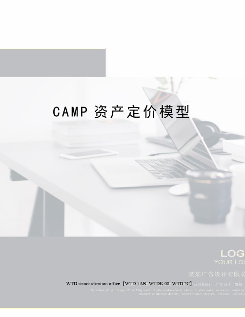 CAMP资产定价模型