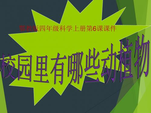 四年级上册科学校园里有哪些动植物鄂教版 (2)