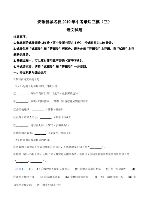 精品解析:【校级联考】安徽省城名校2019届九年级中考最后三模(三)语文试题(解析版)