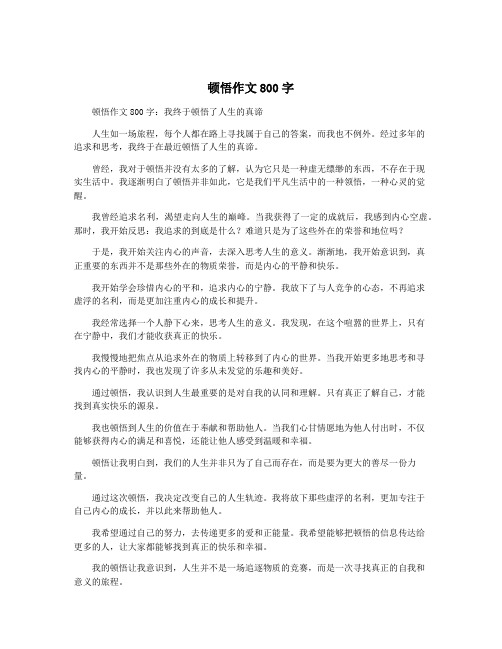 顿悟作文800字