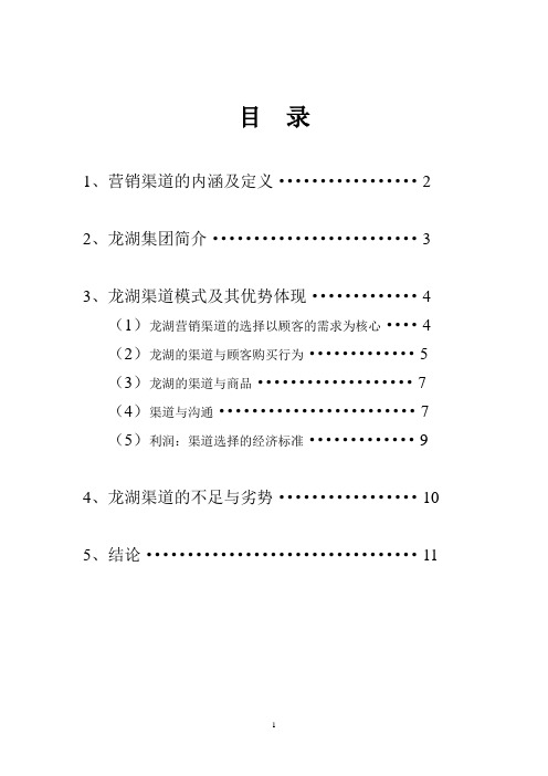 龙湖渠道拓展思路策划