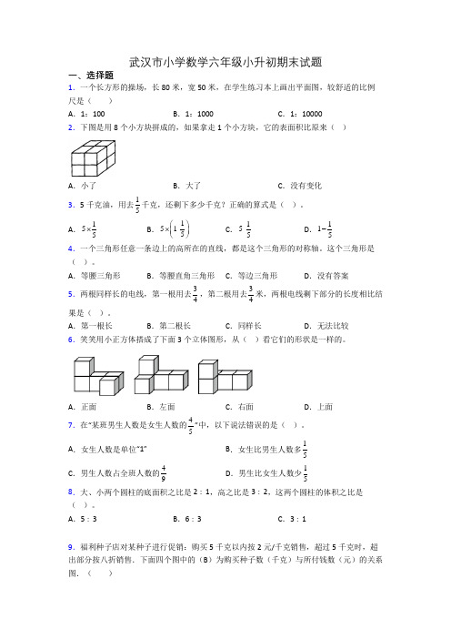 武汉市小学数学六年级小升初期末试题