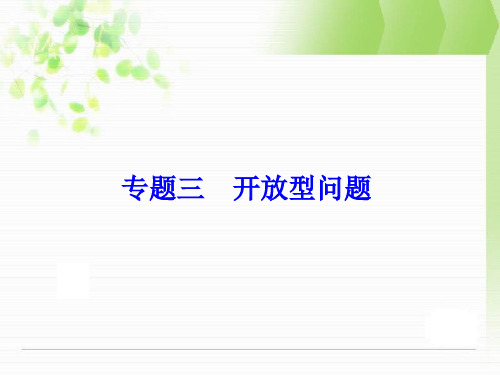 中考复习备战策略第二部分专题三开放型问题