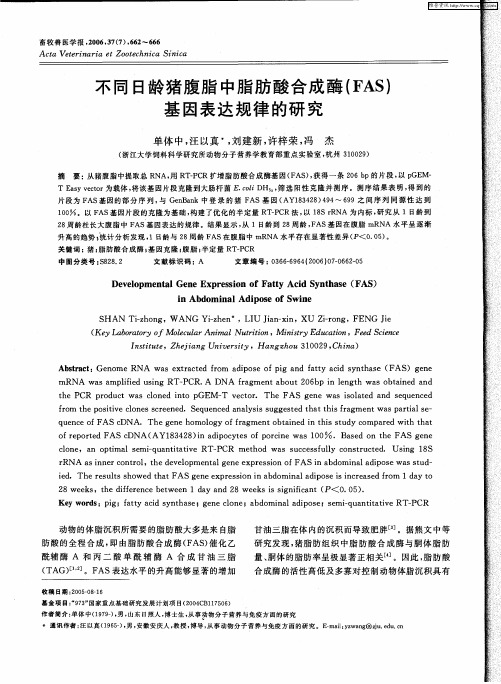 不同日龄猪腹脂中脂肪酸合成酶(FAS)基因表达规律的研究