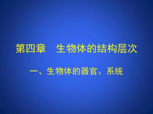 北师大版生物4.2生物体的器官、系统【精品课件】