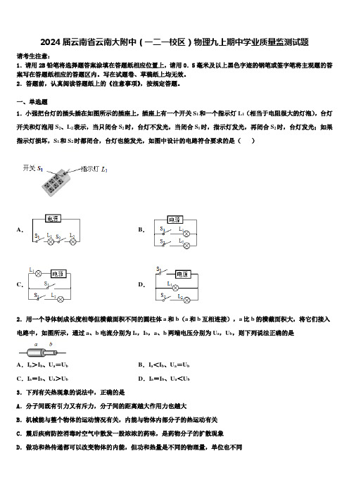 2024届云南省云南大附中(一二一校区)物理九上期中学业质量监测试题含解析