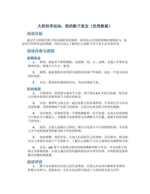 大班科学活动：我的影子朋友(优秀教案)