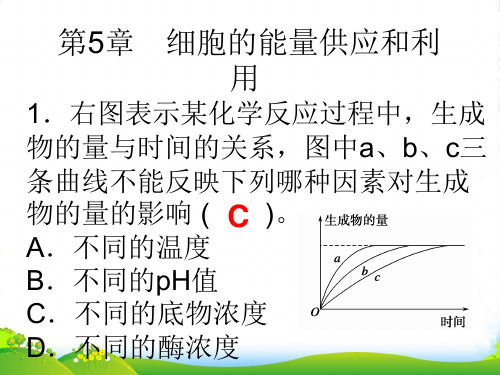 高一生物必修一教学课件：第5章细胞的能量供应和利用提升复习 (共8张PPT)