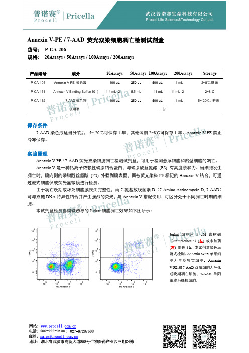 Annexin V-PE   7-AAD 荧光双染细胞凋亡检测试剂盒说明书