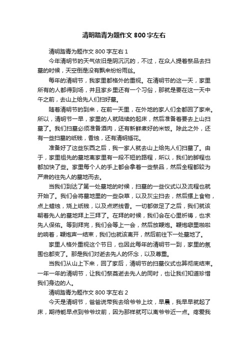 清明踏青为题作文800字左右