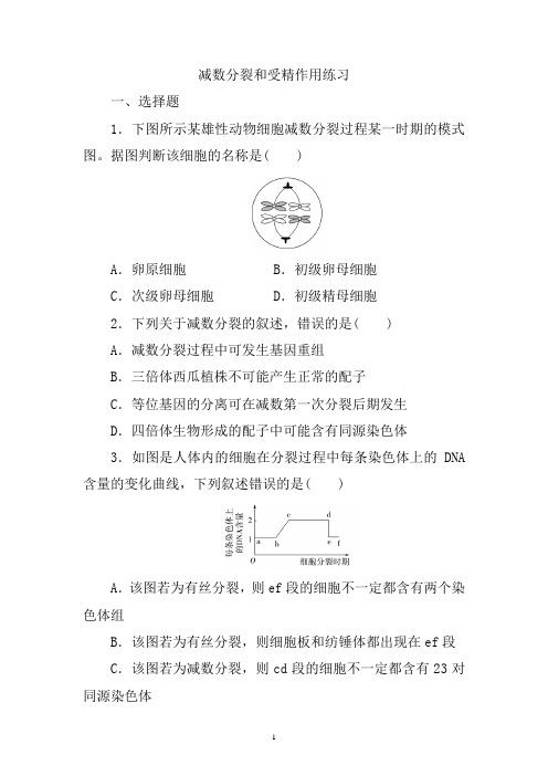 高三生物一轮复习练习：减数分裂和受精作用