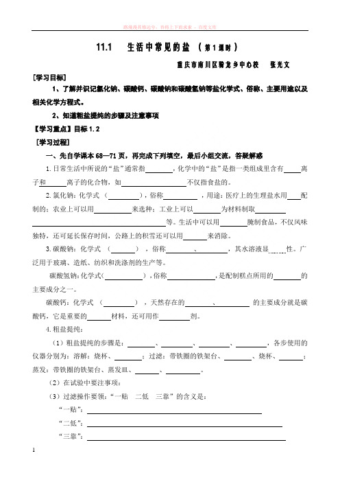 课题1生活中常见的盐导学案(共3课时)学案 