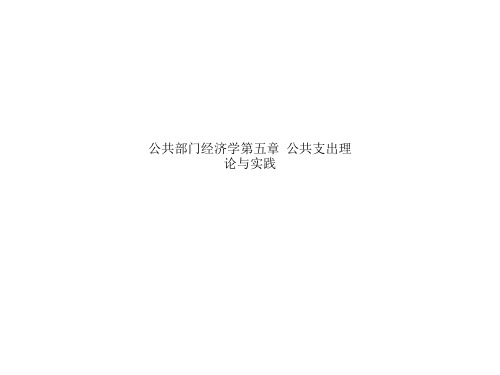 公共部门经济学第五章  公共支出理论与实践