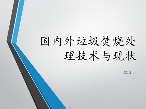 国内外垃圾焚烧处理技术与现状