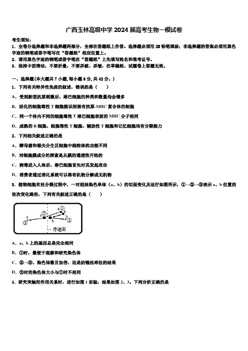 广西玉林高级中学2024届高考生物一模试卷含解析