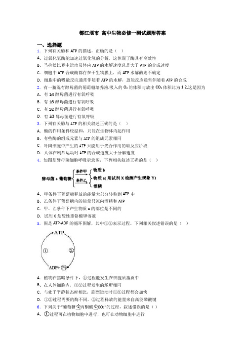 都江堰市 高中生物必修一测试题附答案