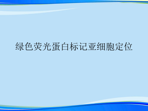 绿色荧光蛋白标记亚细胞定位.2021完整版PPT