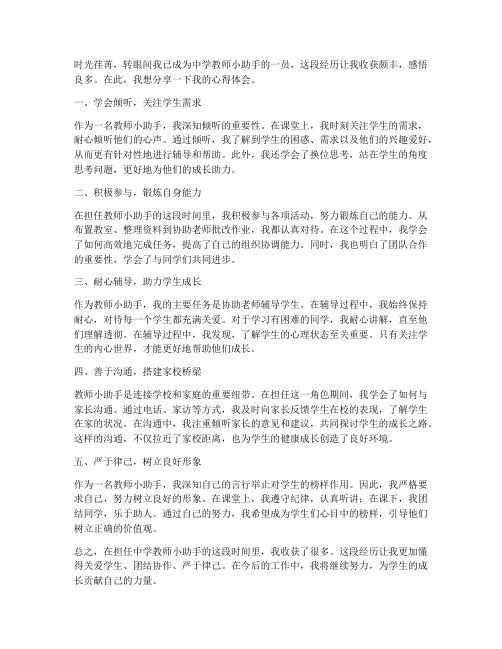 中学教师小助手心得体会