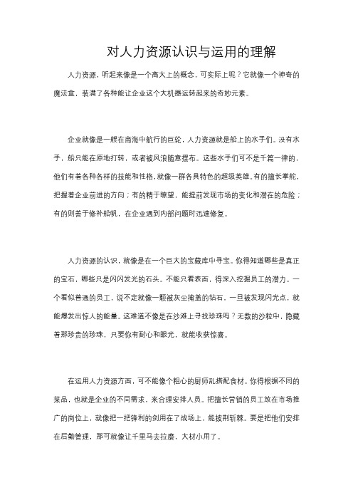 对人力资源认识与运用的理解