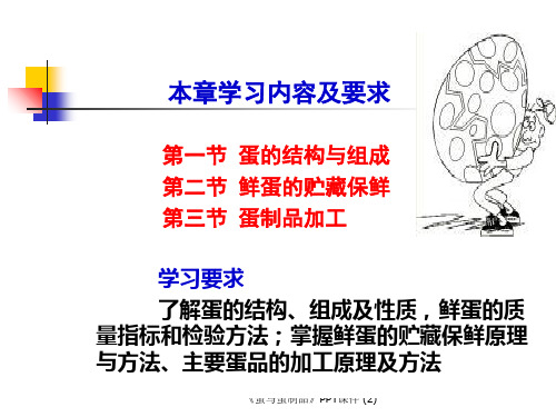 蛋与蛋制品最新课件