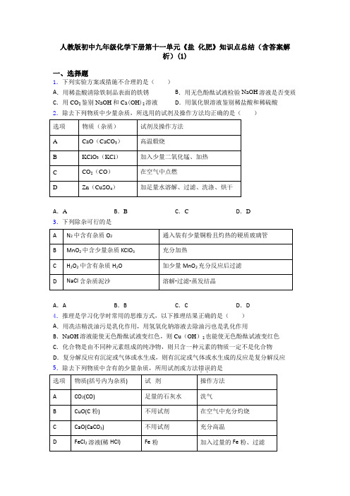 人教版初中九年级化学下册第十一单元《盐 化肥》知识点总结(含答案解析)(1)