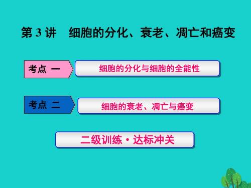 2017版高考生物一轮复习 第四单元 细胞的生命历程 第3讲 细胞的分化、衰老、凋亡和癌变课件