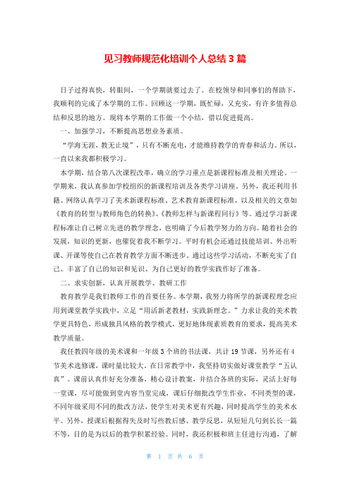 见习教师规范化培训个人总结3篇