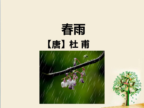 苏教版小学二年级语文下册《春雨》课件