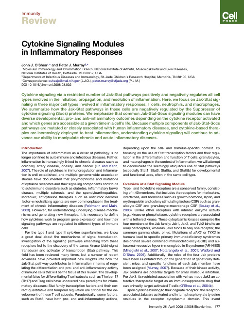 Cytokine signaling modules in inflammatory responses