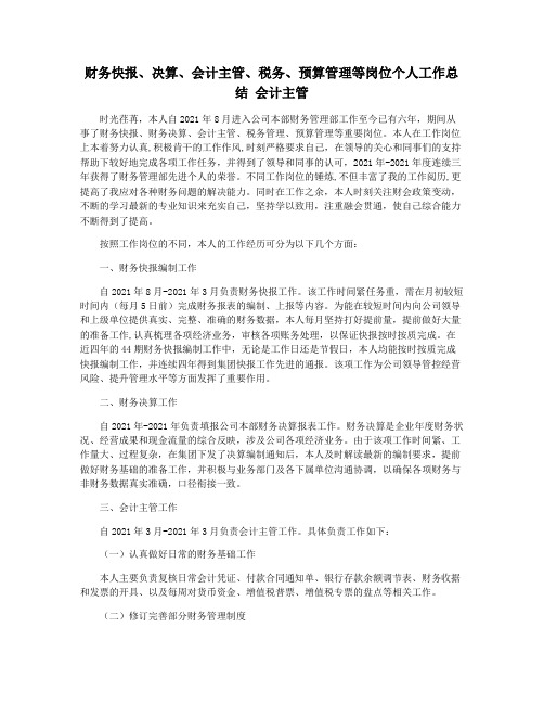 财务快报决算会计主管税务预算管理等岗位个人工作总结 会计主管