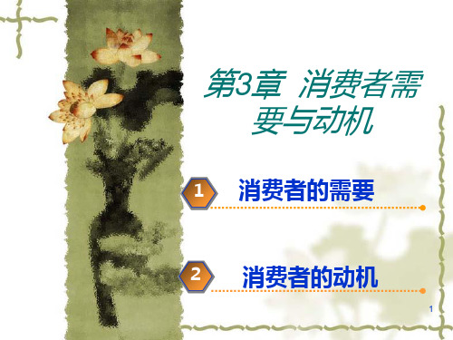 第3章  消费者需要与动机(消费者行为学)PPT课件