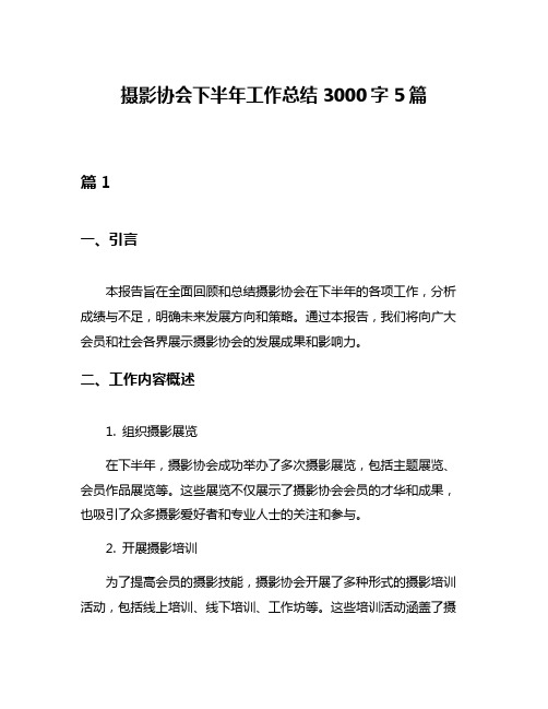 摄影协会下半年工作总结3000字5篇