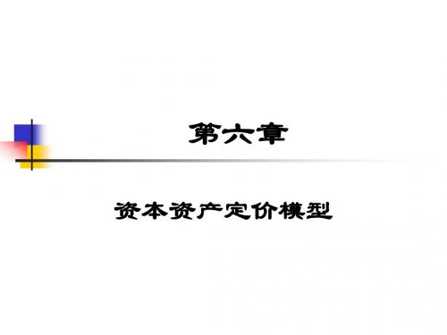 第六章资本资产定价模型