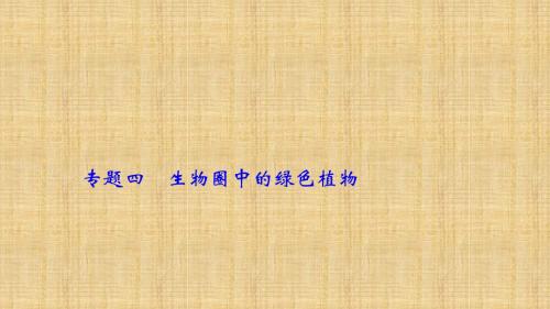 中考生物 第二轮 专题四 生物圈中的绿色植物复习名师优质课件