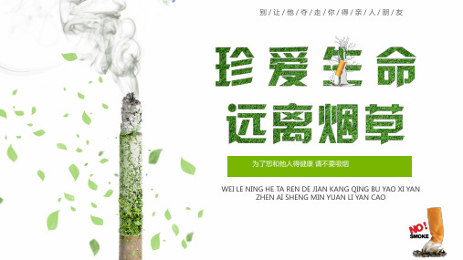 中国烟草PPT模板香烟戒烟吸烟有害健康珍爱生命远离烟草工作报告 (13)