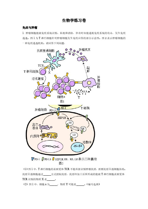 2023年上海市闵行区高三生物高考(等级考)一模试卷含详解