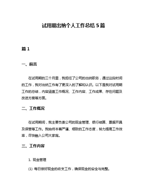 试用期出纳个人工作总结5篇