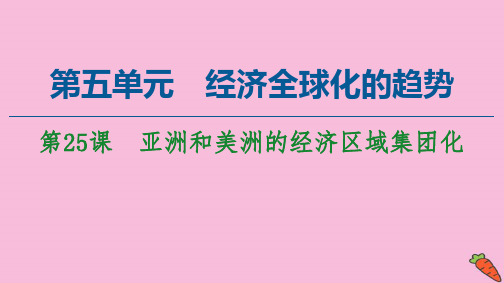 2021年高中历史第25课亚洲和美洲的经济区域集团化课件岳麓版必修2.ppt