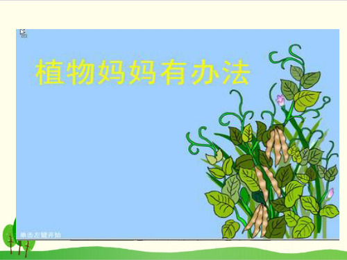 部编教材二年级上册语文《植物妈妈有办法》优质PPT