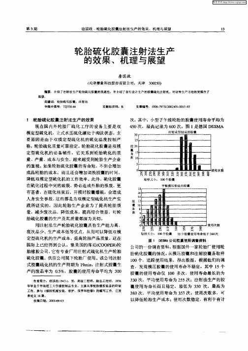 轮胎硫化胶囊注射法生产的效果、机理与展望