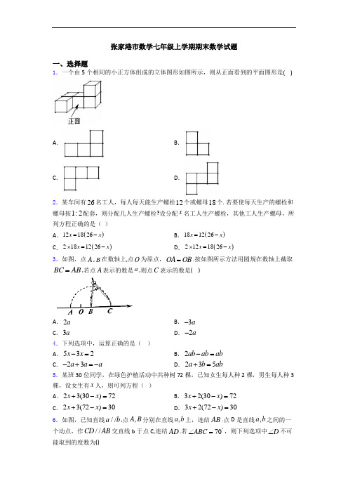 张家港市数学七年级上学期期末数学试题