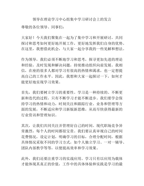 领导在理论学习中心组集中学习研讨会上的发言