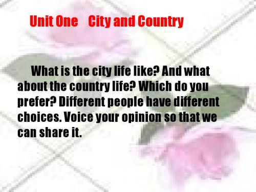 英语：Unit1 Lesson4 City And Country(北师大版必修1)