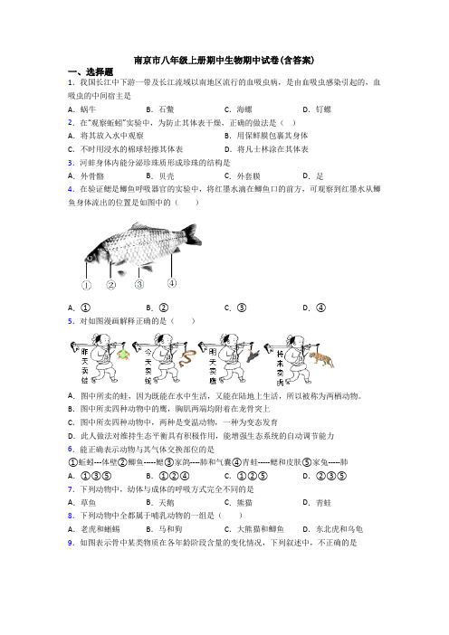 南京市八年级上册期中生物期中试卷(含答案)