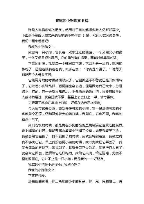 我家的小狗作文5篇