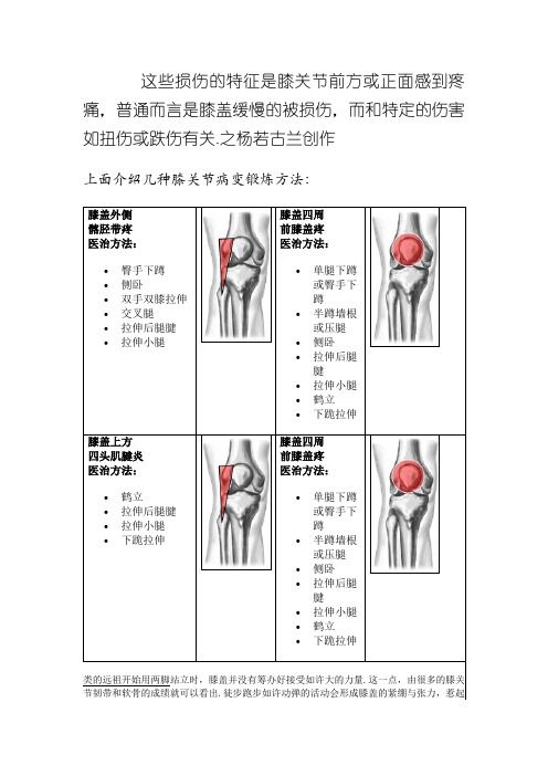 膝关节的高清解剖图与锻炼方法