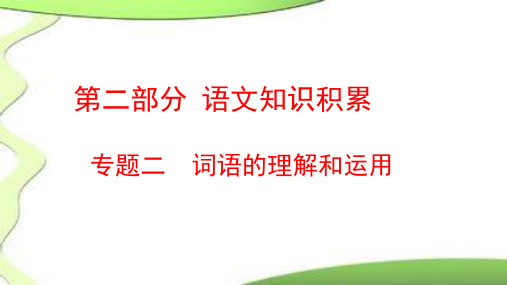 最新中考语文复习知识积累专题《词语的理解和运用》PPT课件(共31页)