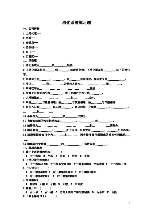 消化系统练习题